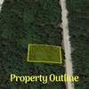 Land for Sale 0.22 acre, 0 Norman Ave, Zip Code 32148 2