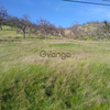 Land for Sale 2 acre, 0 Banderilla Dr, Zip Code 95329 1
