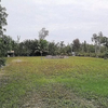 Land for Sale, 5642 Royal Okley Ln, Zip Code 33922