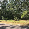 Land for Sale, 9333 Katherine Way, Zip Code 32693 4
