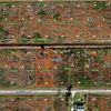 Land for Sale 0.5 acre, Magnolia Dr, Zip Code 33855 1