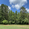 Land for Sale 0.56 acre, Woodleaf, Zip Code 27054 2
