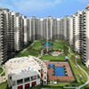 Exotic 3 Bhk Flat for Sale in Gurgaon
