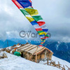 Nepal treks and tour