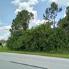 Land for Sale 0.26 acre, 1101 Alvin Ave, Zip Code 33971