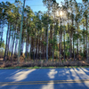 Land for Sale 0.87 acre, 498 Parkertown Rd, Zip Code 28539