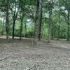 Land for Sale, Wheat Patch Rd, Zip Code 27810