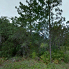 Land for Sale 0.3 acre, 4541 San Lorenzo Dr, Zip Code 33872