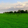 Ukraine Odessa agricultural land plot 5.7 hectares for an elevator, a grain complex, a warehouse, production.