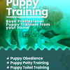 Puppy Training in Bangalore - Mr n Mrs Pet