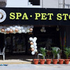 Pet Spa In Hyderabad - Doggy Ville The Canine Club