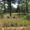 Land for Sale, 672 Oak Haven Trl, Zip Code 35051