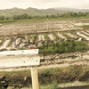 4.4786 hectares along the highway road Lot Sale Camarines Sur Bicol (PHP30M negotiable)