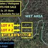 Land for Sale, St, Zip Code 34771