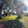 Land for Sale 0.64 acre, 490 NW 1st Ave, Zip Code 33441