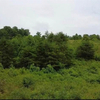Land for Sale 1.64 acre, 1034 Table View Drive, Zip Code 28655