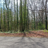 Land for Sale 0.39 acre, 0 State Rd 2134, Zip Code 28164