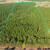 Land for Sale 25.23 acre, 0 STATE RTE 305, Zip Code 30816