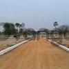 tirupati open plots for sale per ank 25000 to 33000