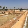 Rajahmundry open plots for sale per sqyard 5500 to 8000
