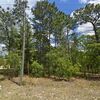 Land for Sale 1.01 acre, 2877 W Pine Ridge Blvd, Zip Code 34465