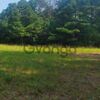 Land for Sale 3.25 acre, 2221 Old Bunn Rd, Zip Code 27597