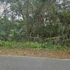 Land for Sale 4.99 acre, 11119 Bessie Dix Rd, Zip Code 33584