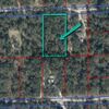 Land for Sale 1.25 acre, 0 NE 86th St, Zip Code 32621