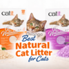 Pea Husk Clumping Cat Litter for Cats
