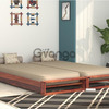 Aper Wooden Sofa Cum Bed 1