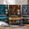 Nutrience SubZero Northern Lakes — Wild-Caught Fish Dog Food for Indian Dogs 1