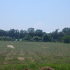 Exclusive buildable plot (15,000 m².) in Western Peloponnese – 500m from the beach & with premium infrastructure