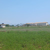 Exclusive buildable plot (15,000 m².) in Western Peloponnese – 500m from the beach & with premium infrastructure 2