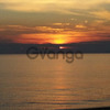 Exclusive buildable plot (15,000 m².) in Western Peloponnese – 500m from the beach & with premium infrastructure 4