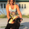 Black medium poodle 3