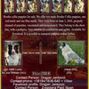 Border collie 1