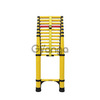 Star Infomatic ElectroSense Telescopic Ladder 1