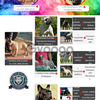 French Bulldog 2