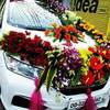 Marrige car at Affordable price