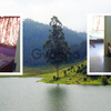 Sree Jagam - Home stay, Cottage, Luxury Guest House in Kodaikanal