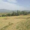 Prime location farm land surrounding hills thapli road morni panchkula