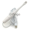 Dental Intraoral Camera W/ 6 LED Lights