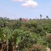 Residential farm lot for sale in Amadeo