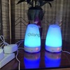 Essential Oil Diffuser