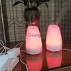 Essential Oil Diffuser