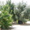 3 Bedroom Country house for Sale 128 sq.m, Dolores 2