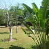 Beachfront Land for Sale at Tropical Island Nearby Krabi 