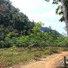 8320 sq.m Land Plot for Sale Midway Between Ao Nang and Krabi Town