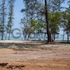 Land for Sale 9032 sq.m with 78 meter private beach, Koh Yao Yai