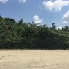 Land for Sale 1600 sq.m, Klang, Krabi